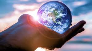 Fundación Tortuga inspira a cuidar el planeta 3 Fundación Tortuga inspira a cuidar el planeta 3